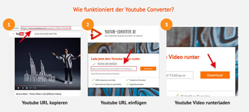 Die Anleitung zum Online Youtube-Converter ist sehr straight forward: URL reinkopieren und los geht's!