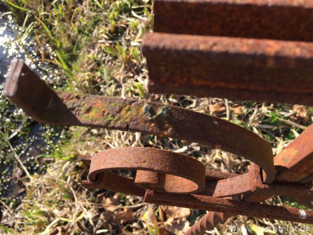 iPhone ohne Zusatzobjektiv und ohne Nachbearbeitung: Leider hat der Autofokus auf das untere Element der rostigen Gartendeko scharf gestellt.