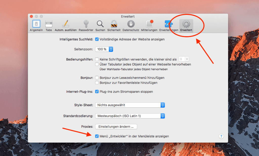 Über die erweiterten Einstellungen in Safari könnt ihr das Entwicklermenü dauerhaft einblenden.