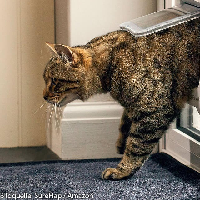 Katzenklappen mit RFID-Chip kaufen, Katze Mikrochip Klappe für Tür, Fenster, Wand