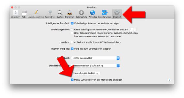 Im "Erweitert"-Tab den neuen Menüpunkt für Entwickler anzeigen lassen.