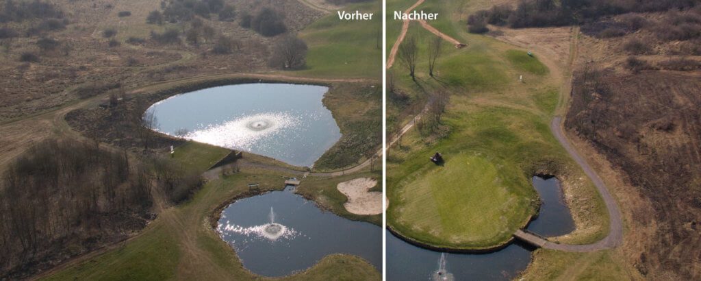 Die Verbesserung der Vegetation greift hier vor allem bei den Rasenflächen. Bei kahlen Sträuchern kann leider auch der Lemur nix machen. ;-)