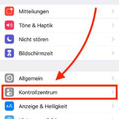 1) Einstellungen in iOS