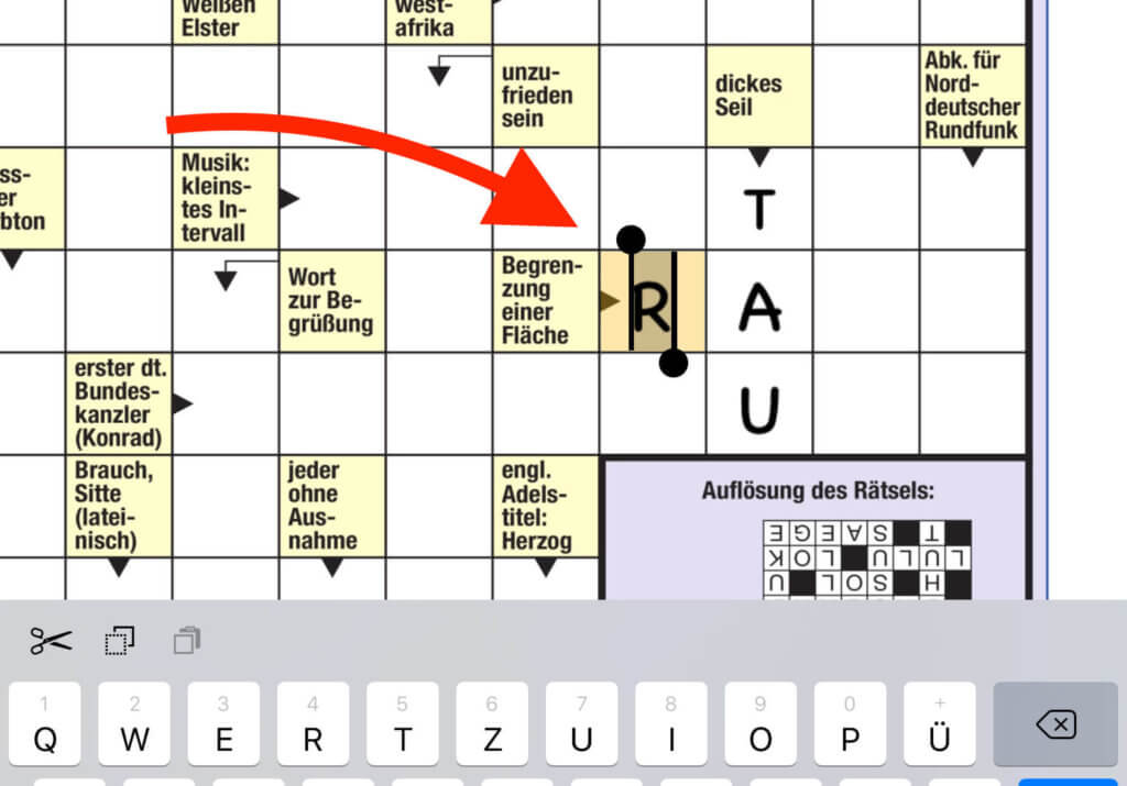 Selbst Kreuzworträtsel lassen sich in Radly bequem am iPad lösen.