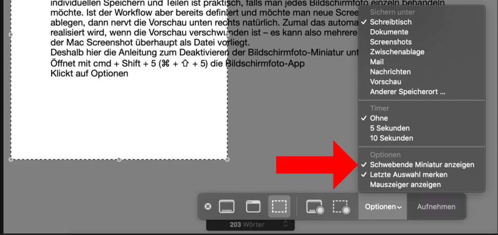 Über die Bildschirmfoto-App des Betriebssystems könnt ihr mehrere Einstellungen vornehmen.