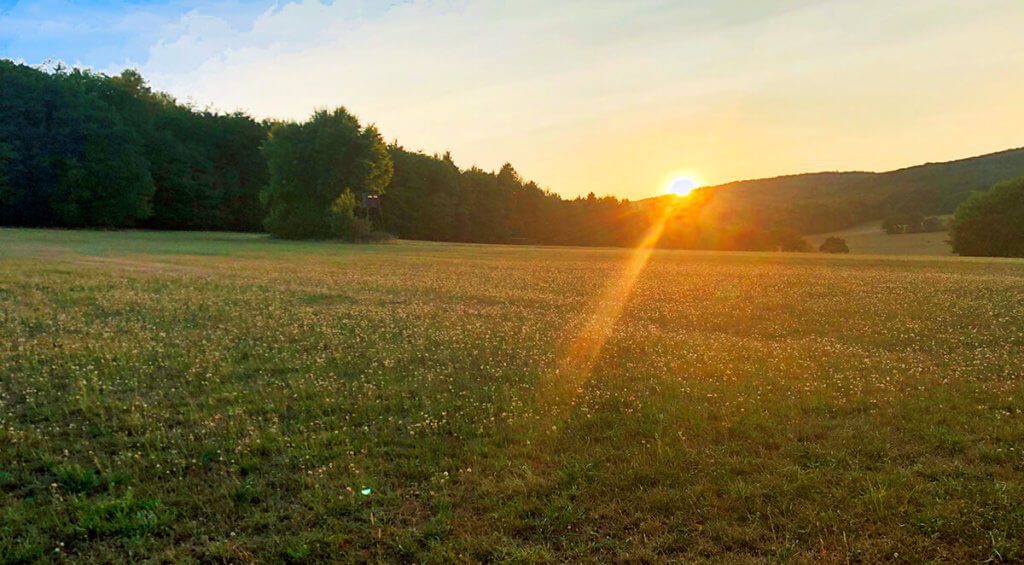 Bei diesem Sonnenuntergang hat Smart-HDR ebenfalls gute Arbeit geleistet. Oben links konnte ich sogar noch ein bisschen Himmelblau restaurieren, das tatsächlich da war. Die Wolken sehen zwar reingeshoppt aus, sind aber die Original-Wolken. Die Wiese und die Bäume sind ebenfalls mit der Farbsättigung etwas verstärkt worden (Foto: Sir Apfelot).