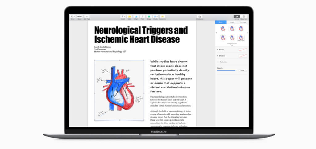 Das neue MacBook Air Mid 2019 ist nicht nur günstiger, sondern hat jetzt auch ein Retina Display mit True Tone-Technologie.