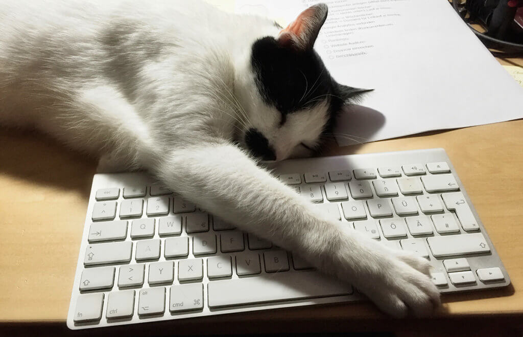 Mein Kater liegt liebend gern auf meinem MacBook Pro rum und blockiert nebenbei noch die Tastatur mit der Pfote… schließlich soll ich ihn ja kraulen und nicht arbeiten (Foto: Sir Apfelot).