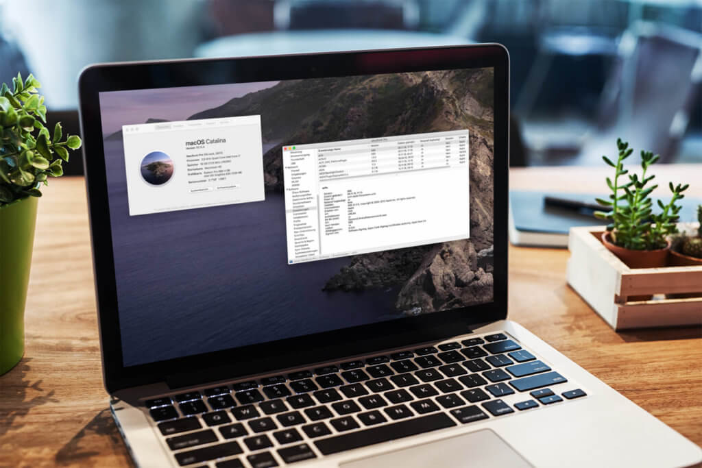 Ab macOS Catalina mag kein Mac mehr mit 32 Bit Apps umgehen. Die Hardware könnte es aber definitiv.