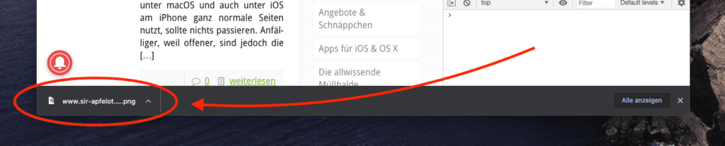 Schliesslich landet der Screenshot als PNG-Datei in den Downloads des Browsers.