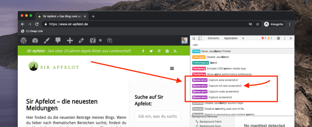 Mit der Option "Run Command" können wir dann den Befehl zum Auslösen des Screenshots auswählen.