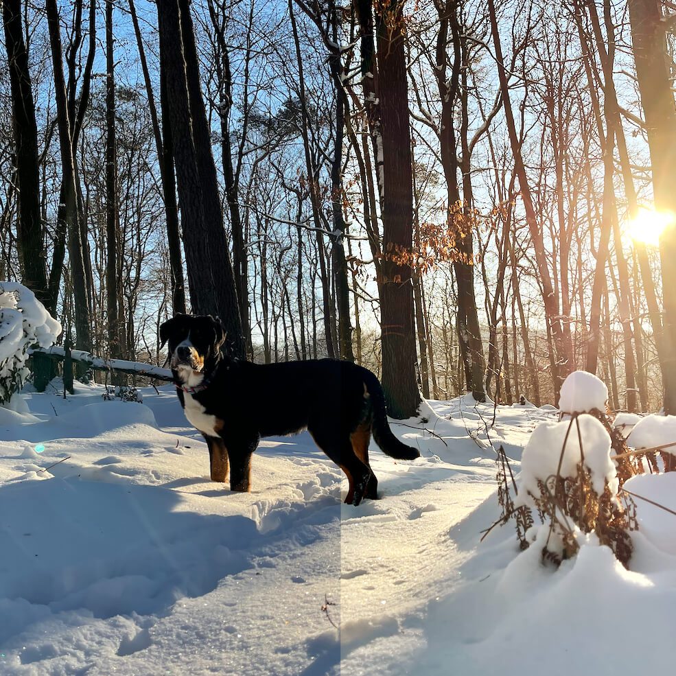 Weißabgleich: Blauen Schnee in Fotos-App korrigieren