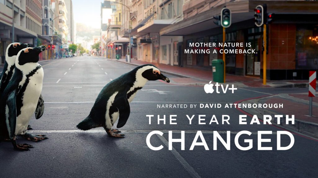 Die Doku „Das Jahr, das unsere Erde veränderte“ (The Year Earth Changed) zeigt ab dem 16. April 2021 bei Apple TV+, wie die Natur weltweit wegen des Corona-Lockdowns ihren Lebensraum zurück zu erobern versuchte.