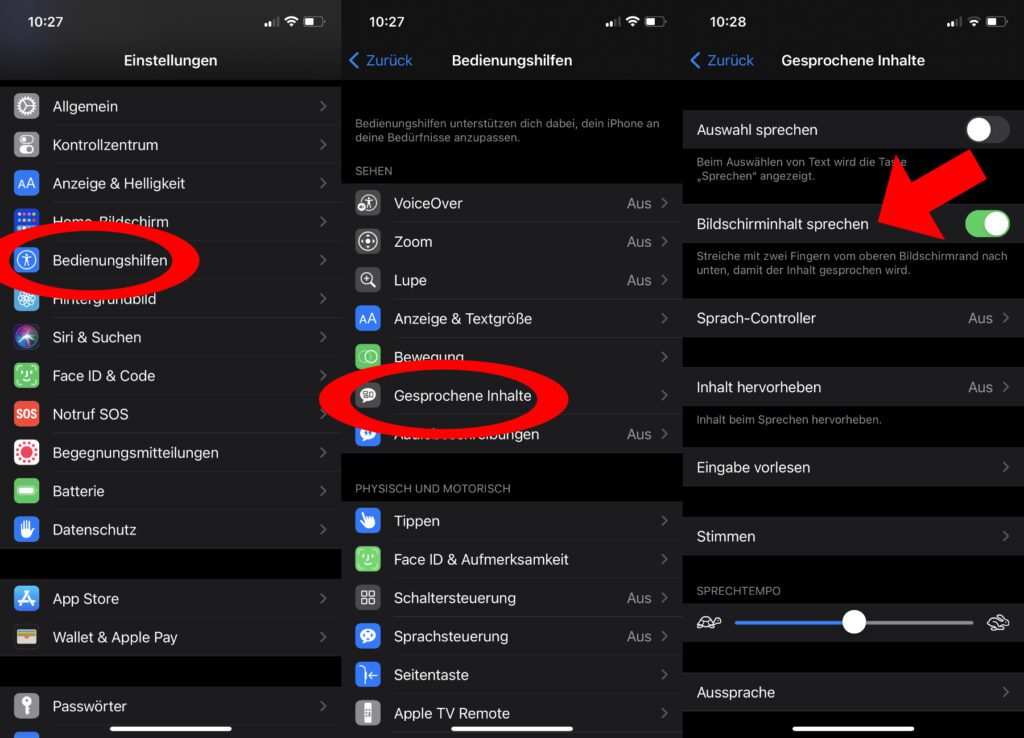 Bildschirminhalt sprechen – Wollt ihr euch am iPhone den gesamten Display-Text vorlesen lassen, dann aktiviert dieses Feature in den iOS-Einstellungen.