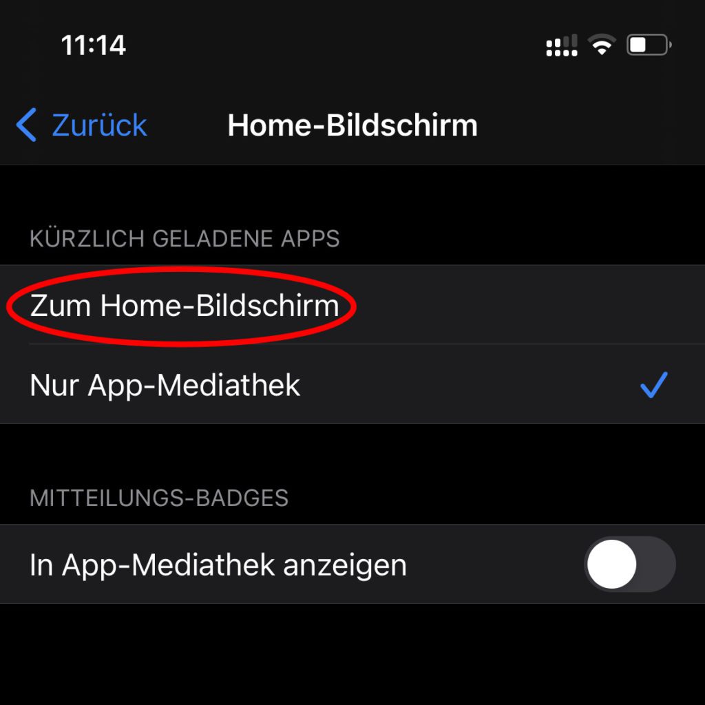 In den iPhone-Einstellungen könnt ihr festlegen, ob neu installierte Apps auf dem Home-Bildschirm oder nur in der App-Mediathek abgelegt und angezeigt werden sollen.