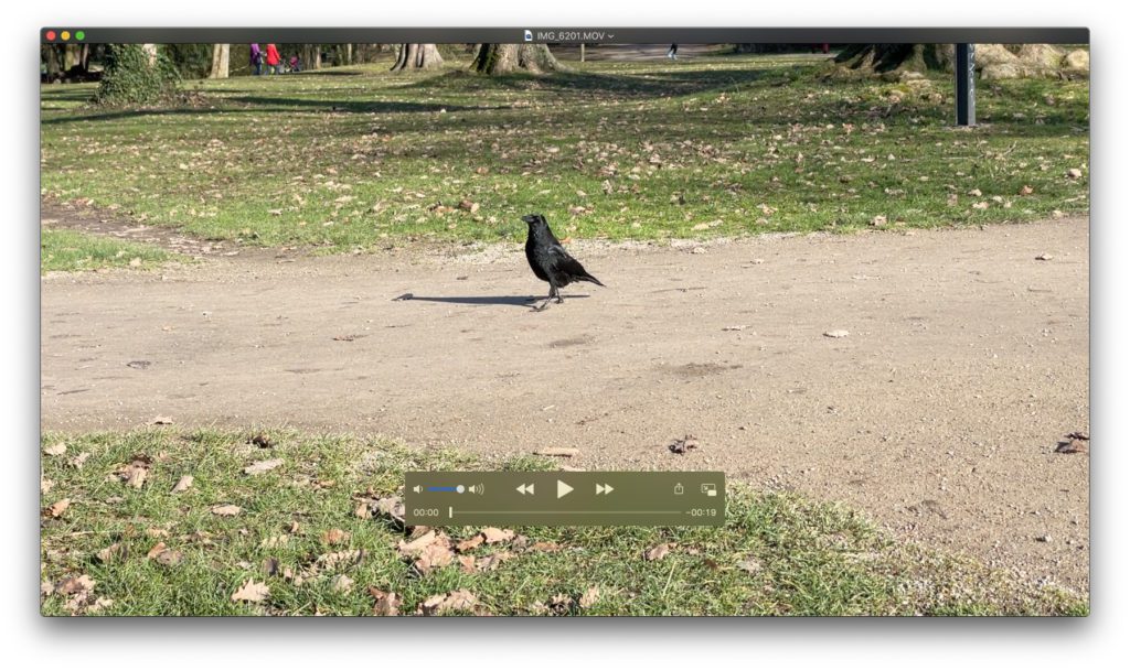 Öffnet ihr ein Video in der QuickTime Player App des Apple Mac, dann wird die Option für schneiden und kürzen noch nicht angezeigt.