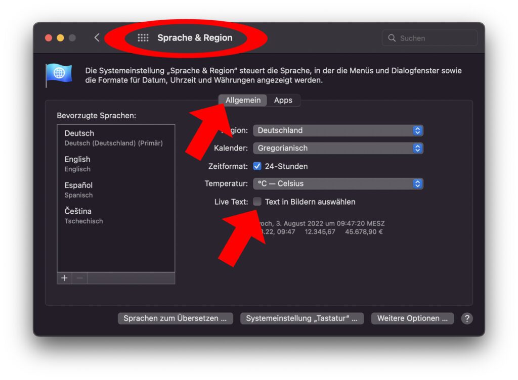 Zum Live Text deaktivieren am Apple Mac braucht ihr ebenfalls nur ein paar Klicks in den Systemeinstellungen von macOS. So sieht das Ganze aus.