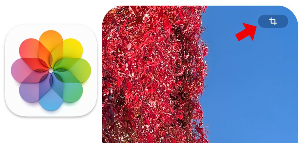 Am iPhone könnt ihr ab iOS 17 einzelne Fotos noch einfacher auf die Displaygröße zuschneiden. Es entfallen mehrere Schritte, die zuvor dafür notwendig waren, wenn ihr die neue Herangehensweise nutzt.
