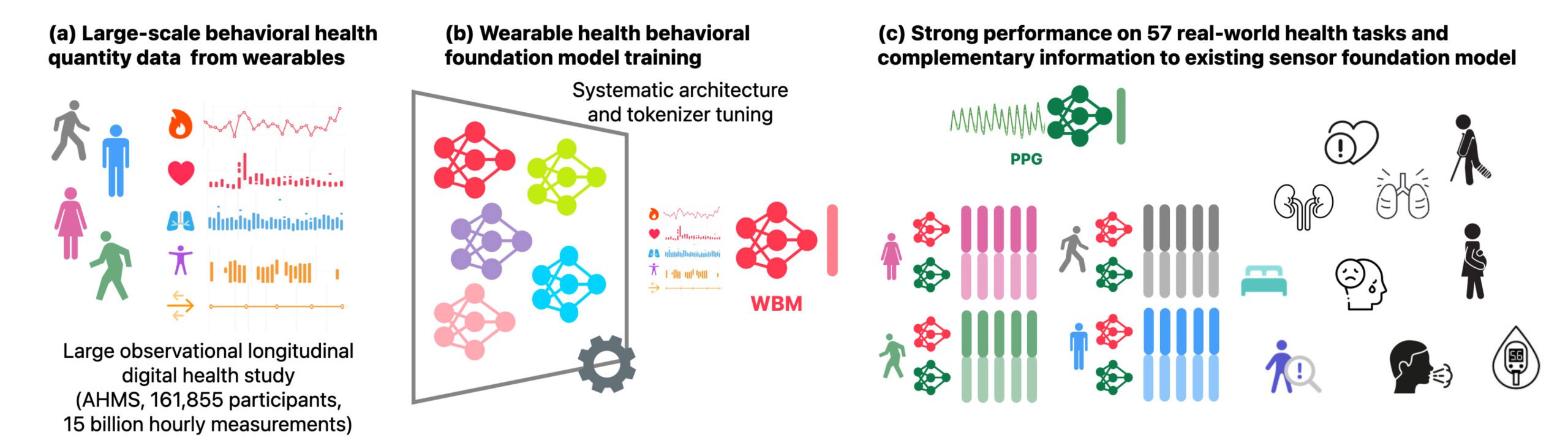 Schematische Darstellung des WBM-Modells